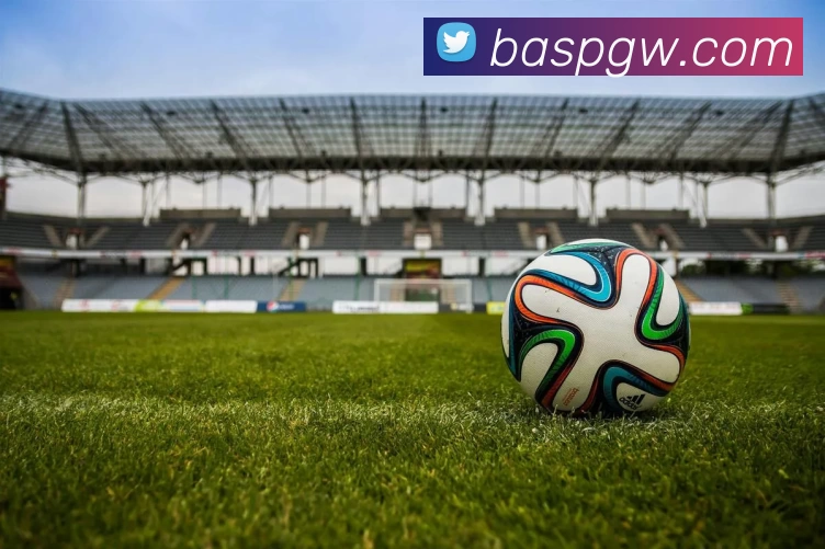 博奥体育官网平台生态图